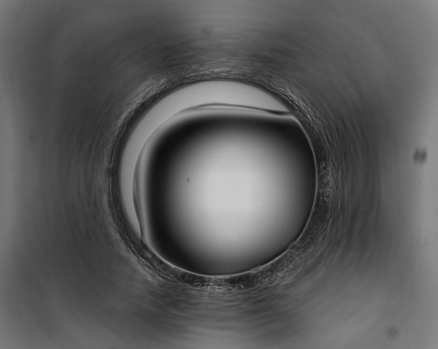 X0000100500738200806201714