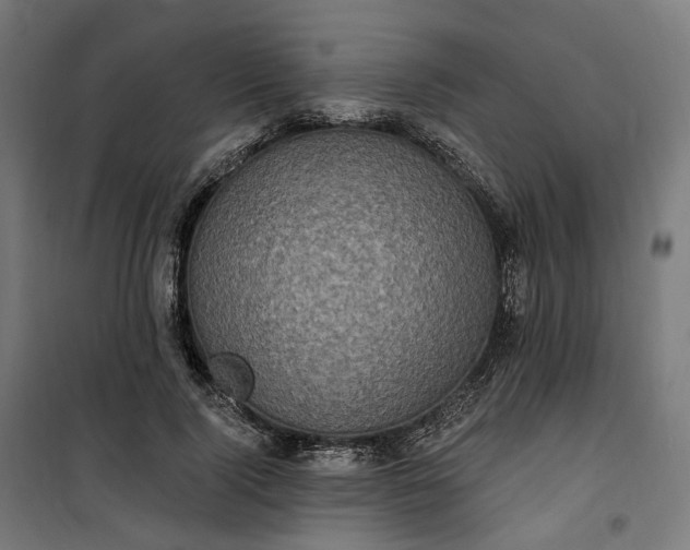 X0000100500740200806201714