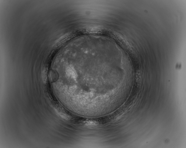 X0000100500741200806201714