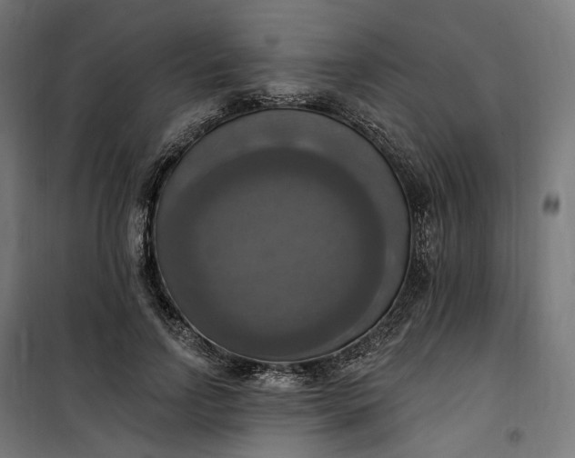 X0000100500742200806201714