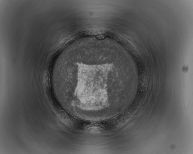 X0000100500743200806201714