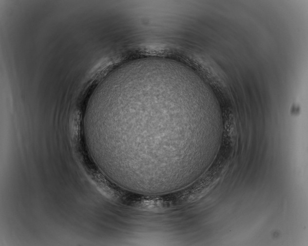 X0000100500744200806201714