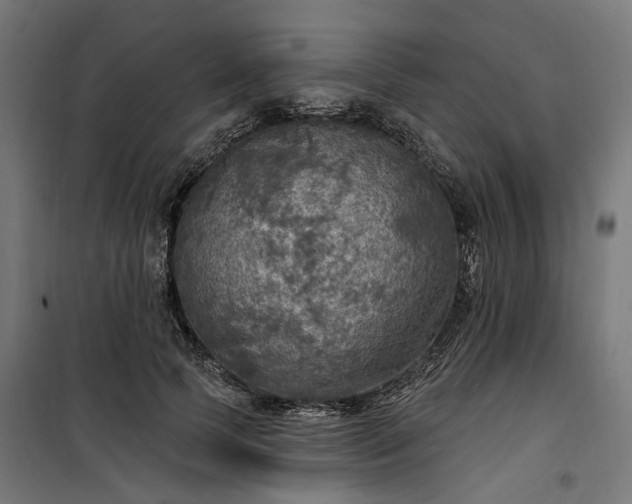 X0000100500745200806201714