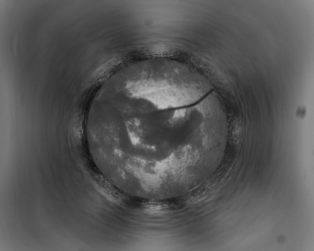 X0000100500746200806201714