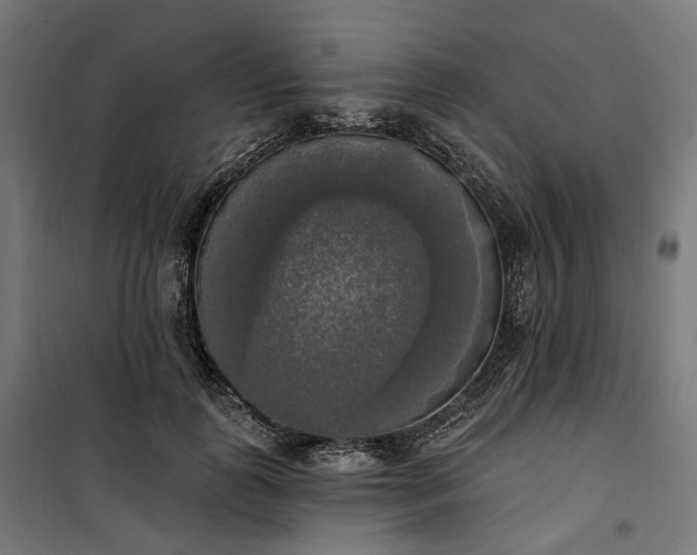 X0000100500747200806201714