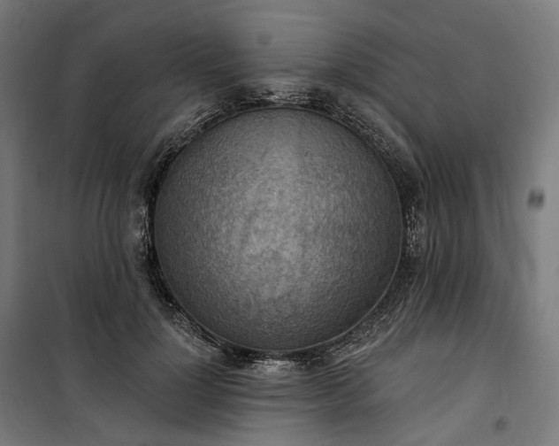 X0000100500748200806201714