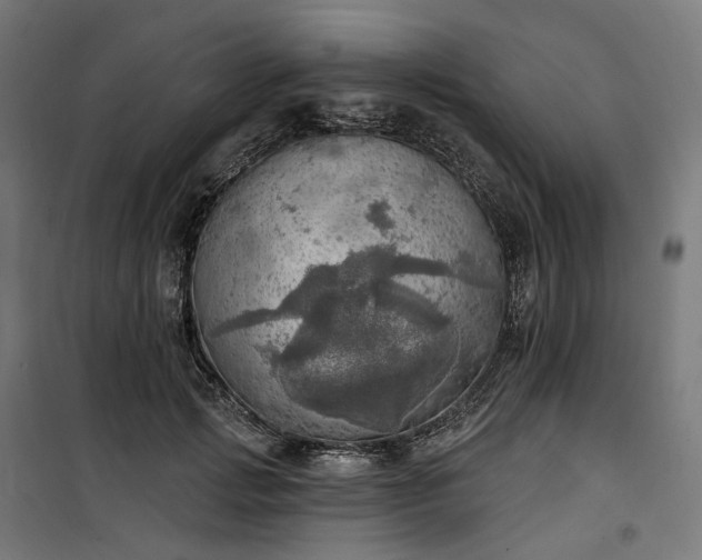 X0000100500749200806201714