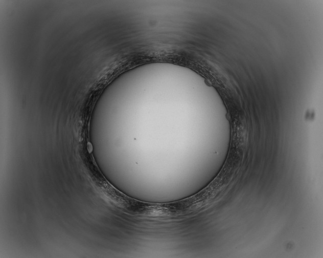 X0000100500750200806201714