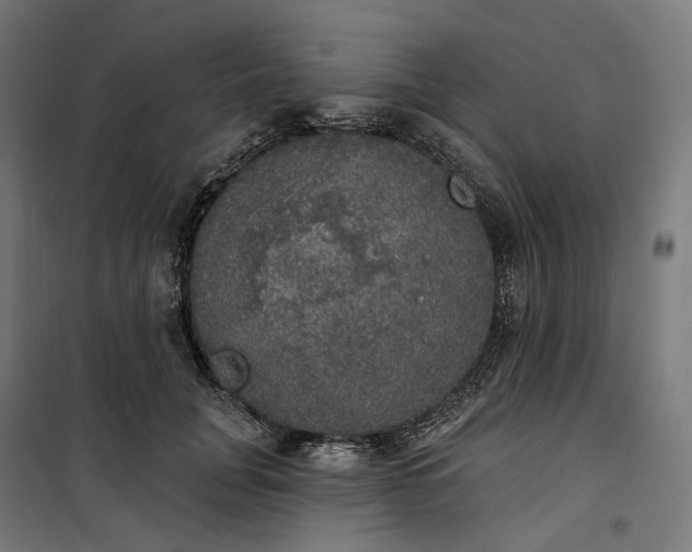 X0000100500751200806201714