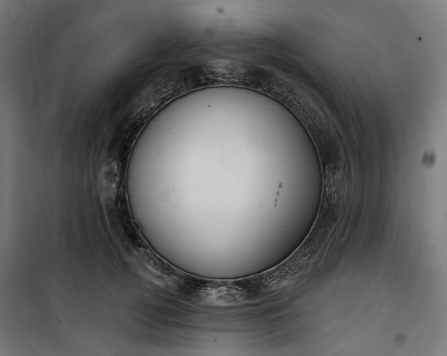 X0000100500752200806201714