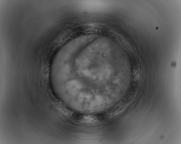 X0000100500753200806201714