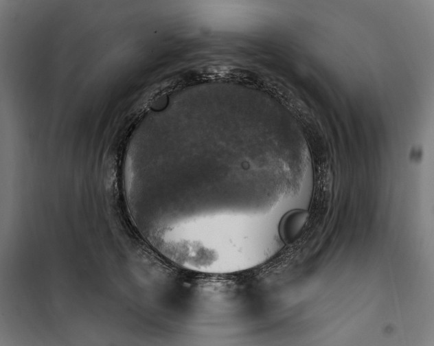 X0000100500754200806201715