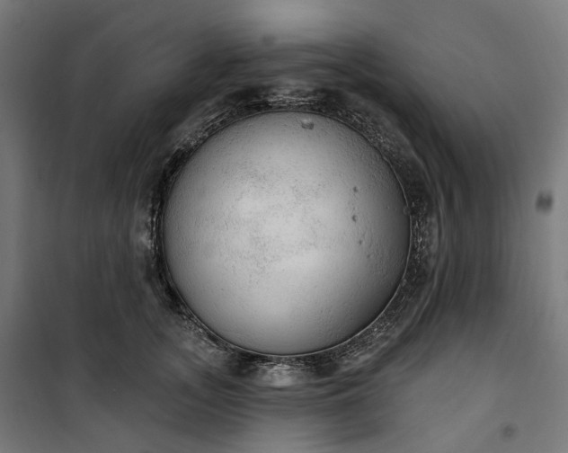 X0000100500755200806201715