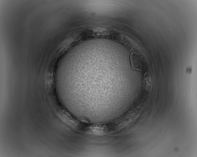 X0000100500756200806201715