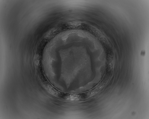 X0000100500758200806201715