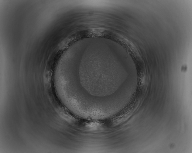 X0000100500759200806201715