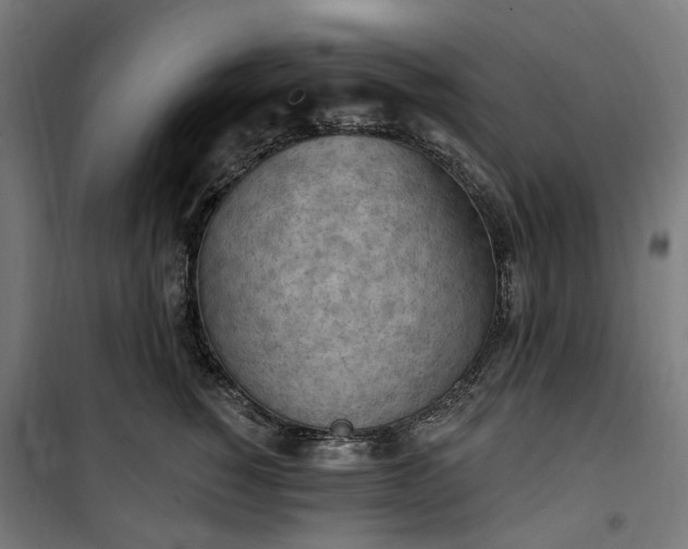 X0000100500760200806201715