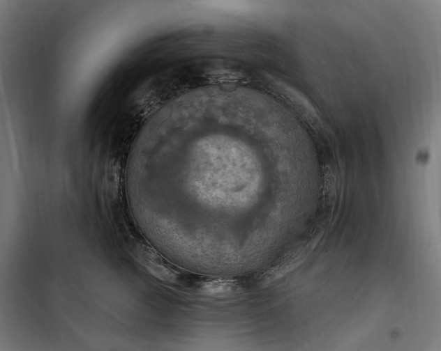 X0000100500761200806201715