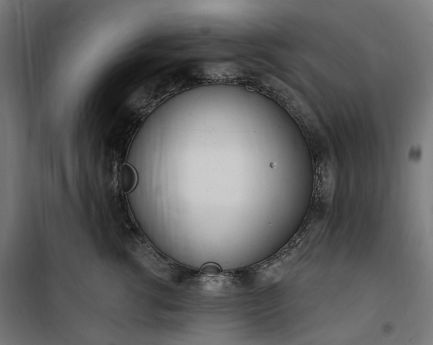 X0000100500762200806201715