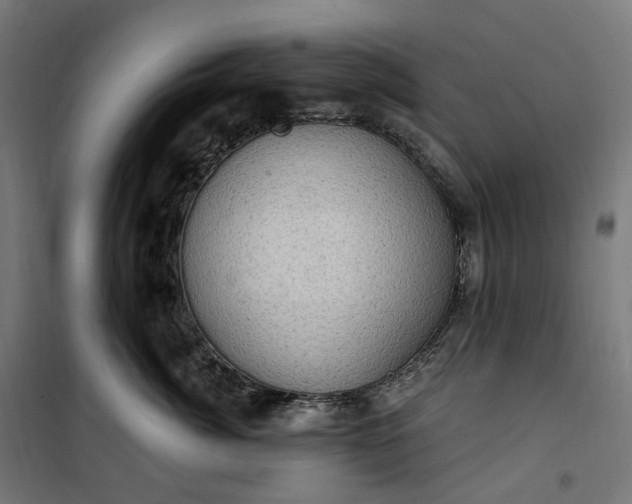 X0000100500764200806201715