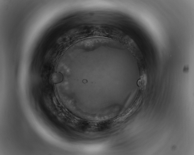 X0000100500765200806201715