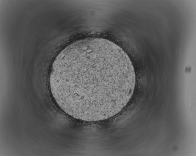 X0000100500769200806201714