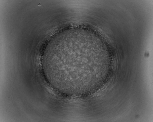 X0000100500770200806201714