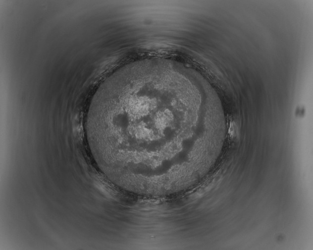 X0000100500771200806201714