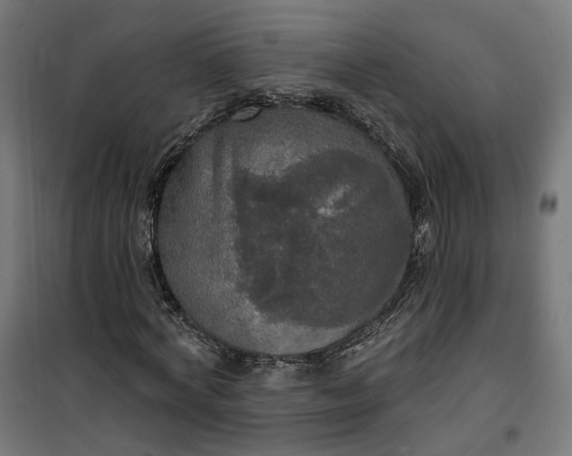 X0000100500772200806201714