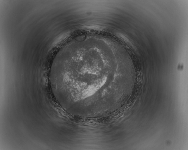 X0000100500774200806201714