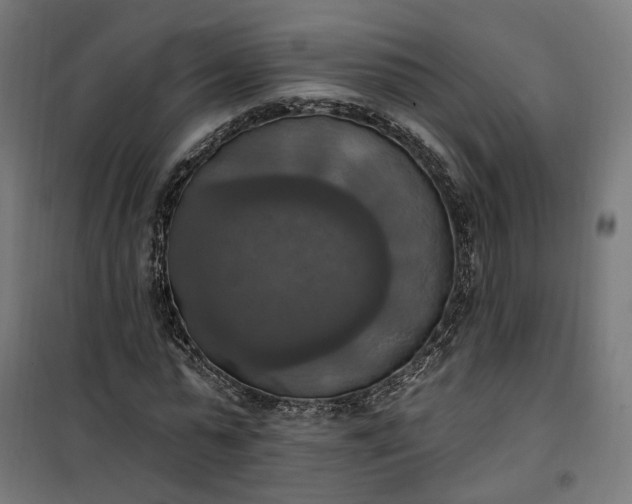 X0000100500775200806201714