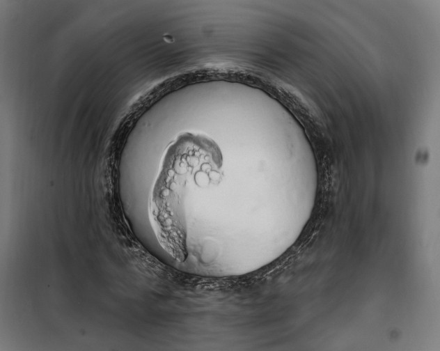 X0000100500776200806201714