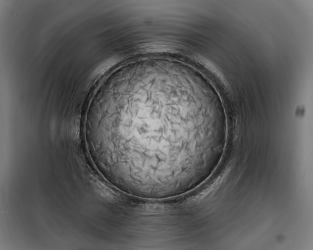 X0000100500777200806201714