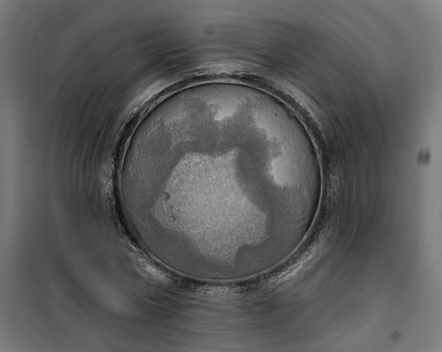 X0000100500778200806201714