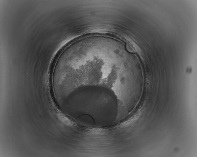 X0000100500779200806201714