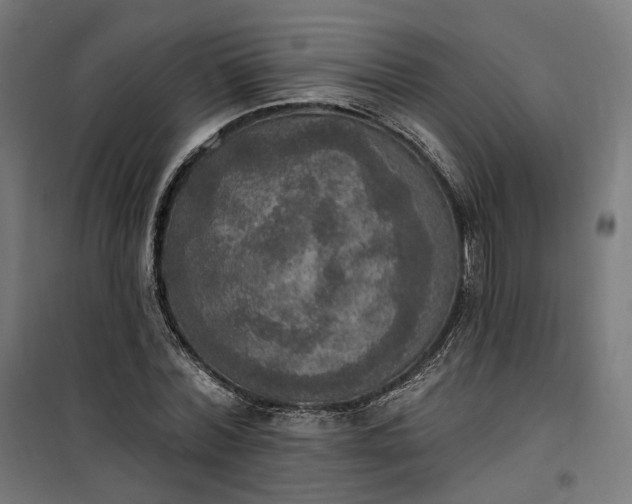 X0000100500780200806201714