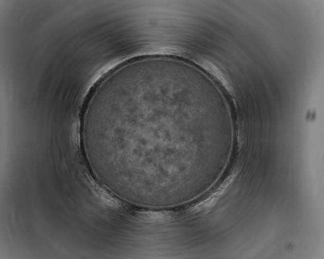 X0000100500781200806201714