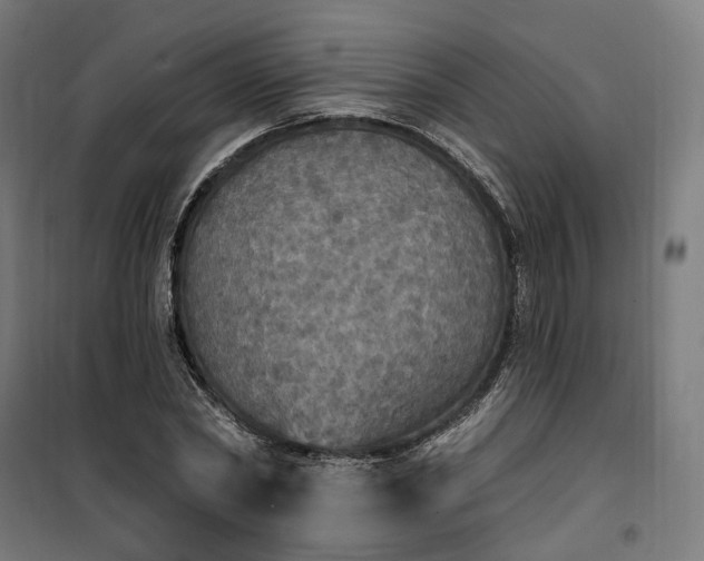 X0000100500782200806201714