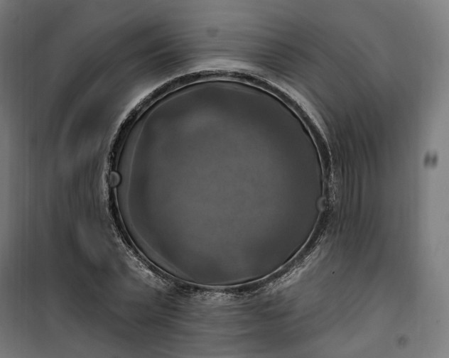 X0000100500783200806201714