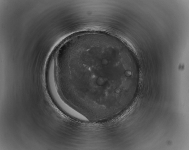 X0000100500784200806201714