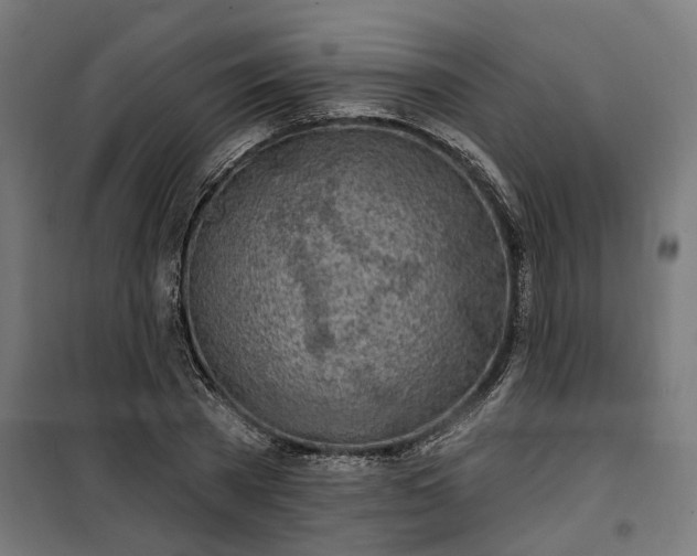 X0000100500785200806201714