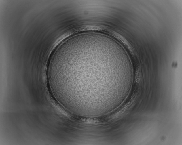 X0000100500786200806201714