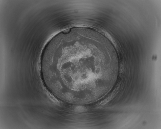 X0000100500787200806201714