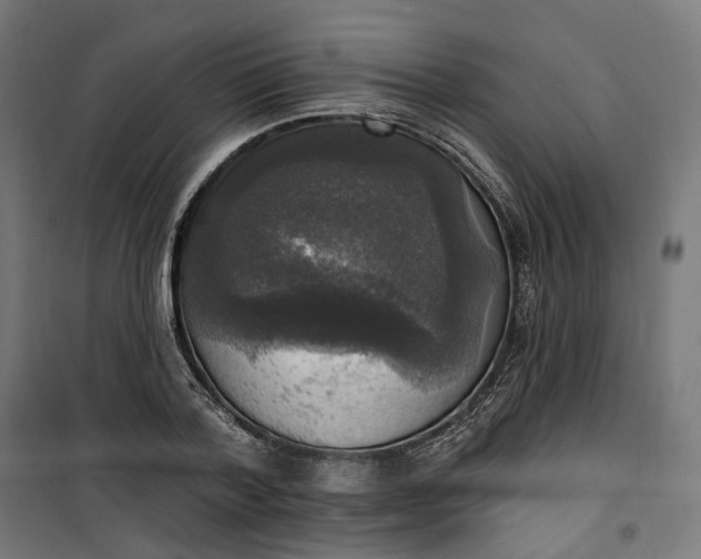 X0000100500788200806201714