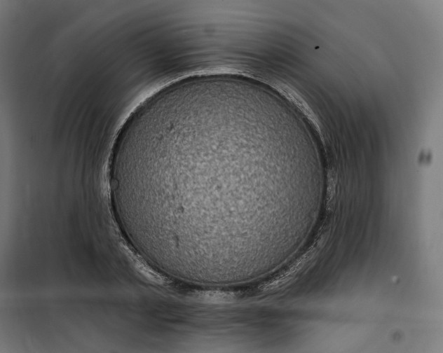 X0000100500789200806201714