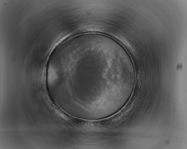 X0000100500790200806201714