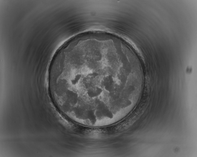 X0000100500791200806201714