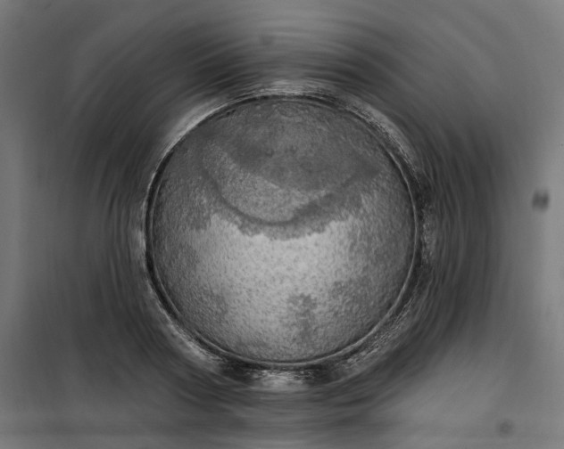 X0000100500794200806201714