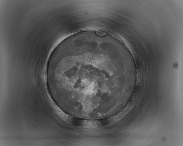 X0000100500795200806201714