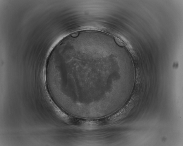 X0000100500796200806201714